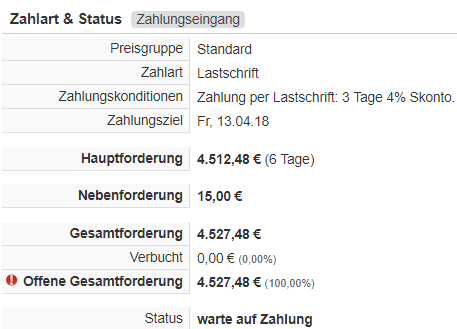 Screenshot Anzeige der Zahlungsinformationen innerhalb eines Belegs