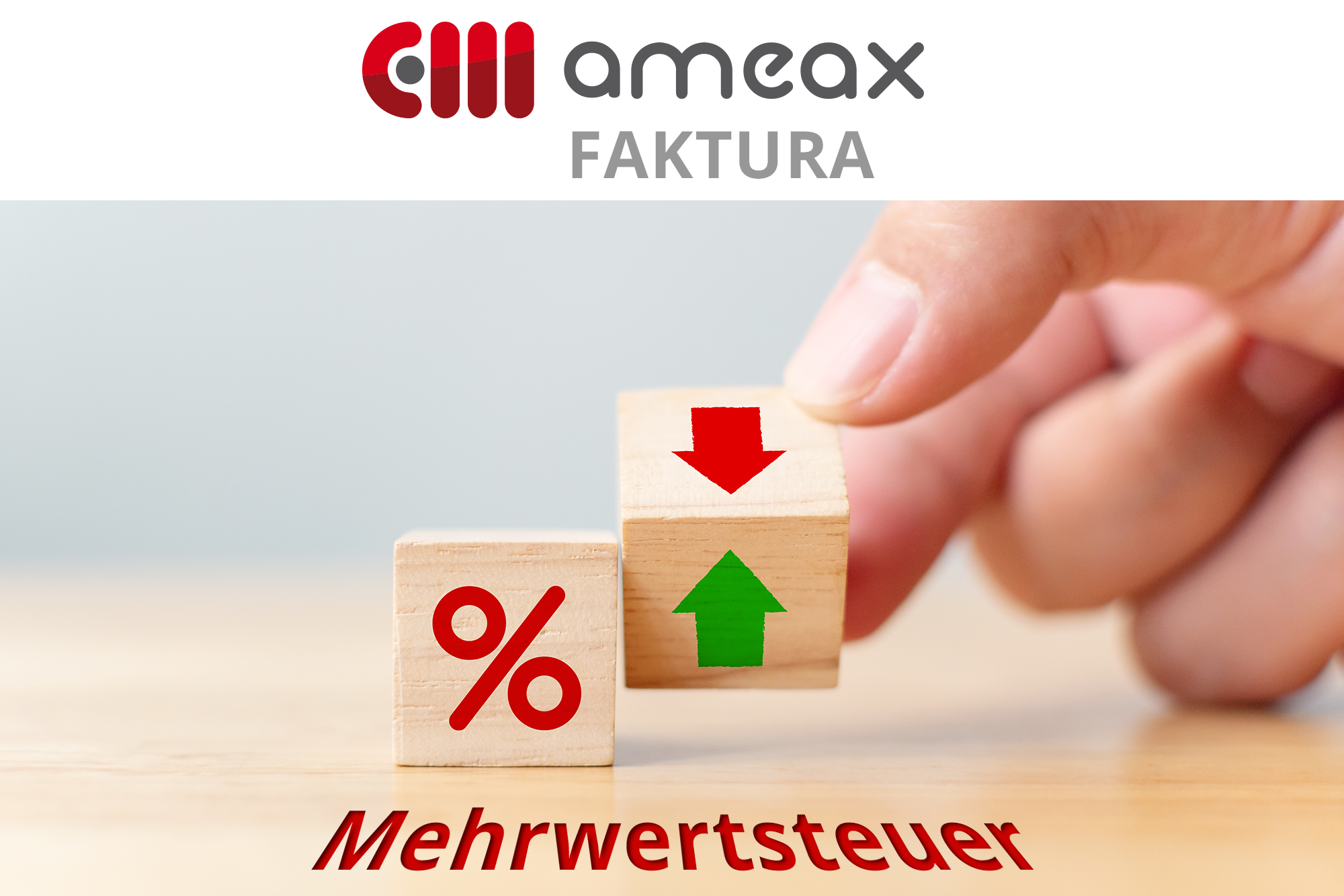 ameax:: Faktura - Sicherheit im Umgang mit verschiedenen Mehrwertsteuersätzen